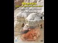 Trigger: QUMRAN.  A LA RECHERCHE DU TRÉSOR DE WADI HAKIPAH (Version.2021)