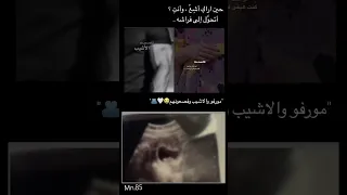 مورفو والاشيب وفصعونهم الاشيب واتباد قصص واقعية د جله قصص عراقية قصص وروايات روايات 