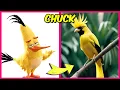 Download Lagu The Angry Birds Movie 2 and 1 in Real Life 🐦🔥 + Guess The Voice Quiz + Their Favorite Things! | Red