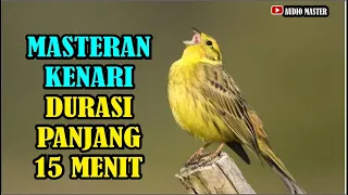 Download MASTERAN JITU KENARI NGEROL DURASI PANJANG 15 MENIT MP3