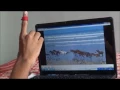Mouse Pointer Control using Color Detection Using Matlab