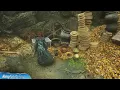 Hogwarts Legacy - A Thief in the Night Side Quest Walkthrough Follow the Trail of Coins