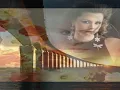 علاء عبد الخالق - يا محلى جمالك.wmv