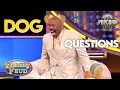 Best DOG Questions That Made Steve Harvey SCREAM Family Feud