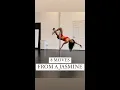8 Moves from a Jasmine - Beginner Pole Dance Tutorial Pole Dance in Minneapolis