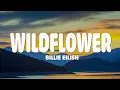 Download Lagu Billie Eilish - WILDFLOWER (Lyrics)