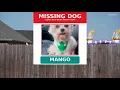 Woman says her dog ran away and died after officers left their gate open