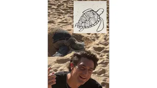 Sea Turtle Tutorial Anyone can draw this inspired by the real thing