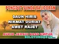Download Lagu PONGDUT KOPLO BAJIDORAN TERBARU 2025~DAUN HIRIS COVER TEH WINWIN