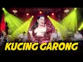 Download Lagu Kucing Garong (Cover) ~ Era Syaqira ft Akhtar Musik || Kelakuan si kucing garong