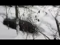 Teen Daze - Reykjavik, January 2015 (Alternate Version) (Official Audio)