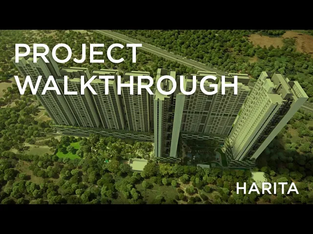 Project Video