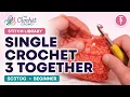 BEGINNER Single Crochet 3 Together sc3tog