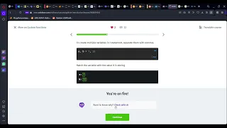 52 More on Custom Functions Introduction to Python Sololearn