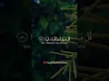 Download Lagu Quran WhatsApp Status | Quran Tilawat | Quran Recitation Status | Daily Quran Status