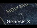 Genesis 3 NIV The Bible