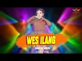Download Lagu WES ILANG - Syahiba Saufa (Music Video Live)