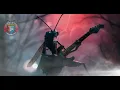 Download Lagu Wasps, Hornets, and Bees  Thrash \