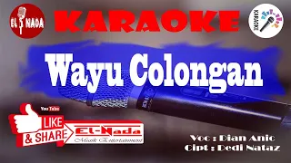 Download KARAOKE Wayu Colongan MP3