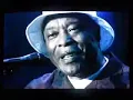 Buddy Guy - Good Morning Little Schoolgirl