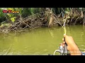 Download Lagu AKAN TERKAPAR ATAU TIDAK‼️Mancing Kakap di 3 SPOT Ranting Hulu Sungai