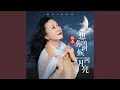 Download Lagu 想你的时候问月亮