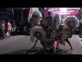 Download Lagu TERBARU !! KUDA LUMPING - TURONGGO SEKAR MULYO / Malang part 1