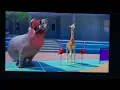 Lagu athleticus sea lion giraffe flamingo and elephant