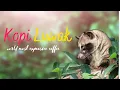 Download Lagu Wild Kopi Luwak  Coffee Production , world most expensive coffee, civet coffee indonesia | Harvest