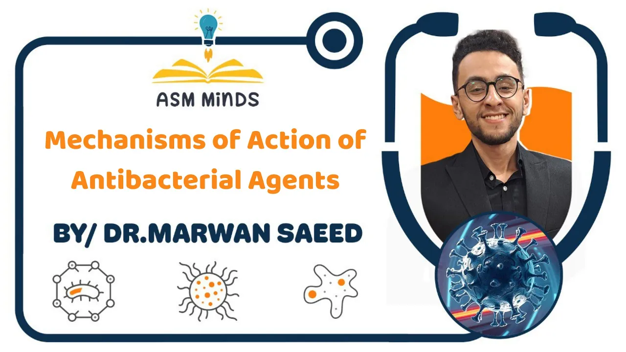 7-Mechanisms of Action of Antibacterial Agents - Microbiology by Dr.Marwan Saeed