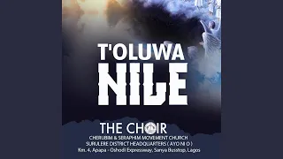 toluwa nile