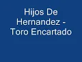 Toro Encartado - Hijos De Hernandez Con Banda Unica Del Rancho (2013)