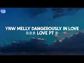 - YNW Melly Dangerously In Love 772 Love Pt 2