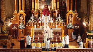 traditional catholic latin mass of the angels mass viii audio only 