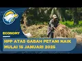 Download Lagu Mulai 15 Januari, HPP atas Gabah Petani Naik