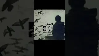 لاتخليني تراني من البعد مغبون دندنها