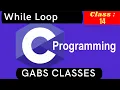 While loop in c program Loops in c programming C Full Course Class 14