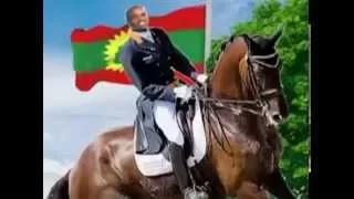 Geerrarsaa By Umar Suleyman 