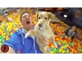 Download Lagu World's Biggest Ball Pit PRANK! (ft. Roman Atwood)
