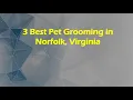 3 Best Pet Grooming in Norfolk Virginia Pet Salons