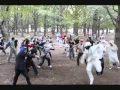 Download Lagu 【代々木】Bad Apple!! Dance 【ハレオフ】