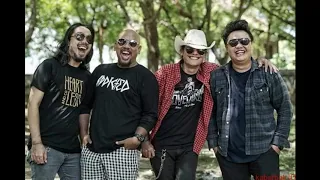 Download Lolot Band - Belog Polos Ngemplongin MP3