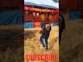 Download Lagu Wa Kancil Baru Datang di Pentas Lingga Buana #Shorts