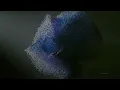8D Immersive Brainscape | Parasympathetic Mode - EMDR (Nervous System Reset)