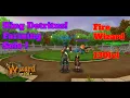 Wizard101 Solo King Detritus - The Drains