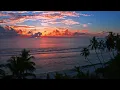 Guava Radio 010 | Reggae, Dub, Afro Fusion 