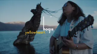 yellowheart - hogis