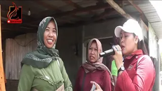 Download Kalah materi | Organ Dangdut Deni Jaya Muda | Khitanan Allexia Desa Ciawi Kec. Palimanan - Cirebo MP3