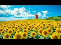 Download Lagu Relaxing Music for the Heart 🌿Stress Relief Music to Restore Nervous System, Sleep Well