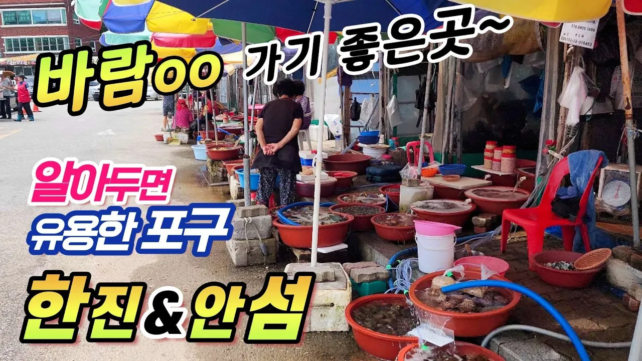♤당일치기 나들이하기 좋은 한적한 포구에서 푸짐한 해물칼국수와 즐기는 여유~ サムネイル
